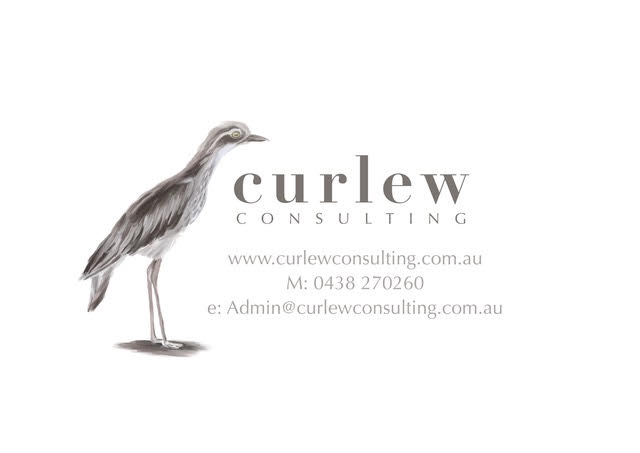 Curlew Consulting Info